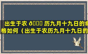 出生于农 🐝 历九月十九日的命格如何（出生于农历九月十九日的命 🐴 格如何呢）